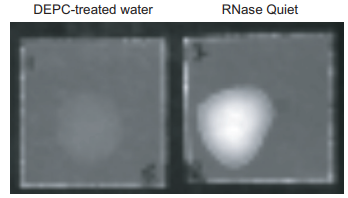 Decontamination of cover glass